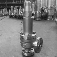 【 永一閥門 】 國標安全閥