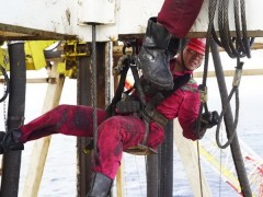 十年守得流花開